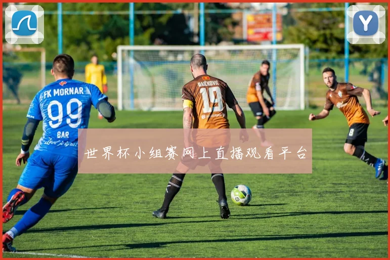 世界杯小组赛网上直播观看平台