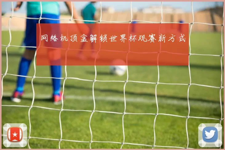 网络机顶盒解锁世界杯观赛新方式